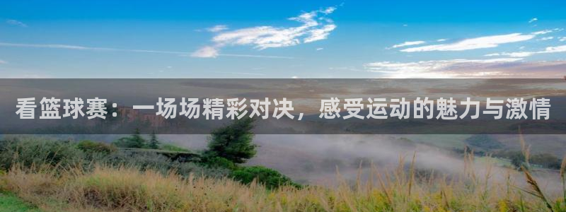 看篮球赛：一场场精彩对决，感受运动的魅力与激情