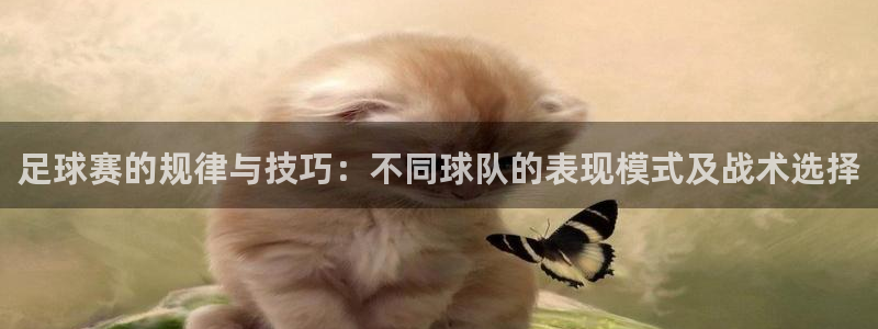 足球赛的规律与技巧：不同球队的表现模式及战术选择