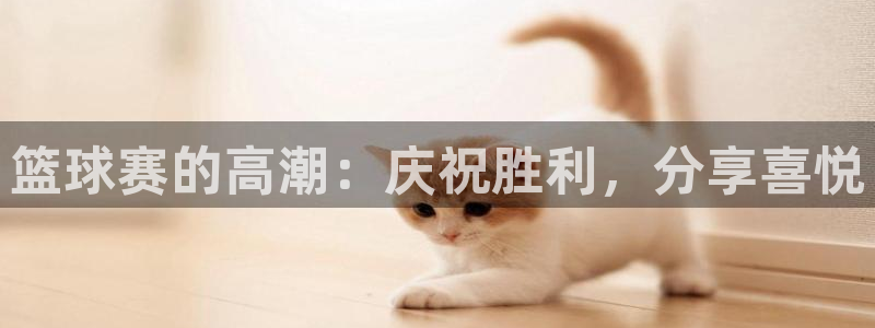 篮球赛的高潮：庆祝胜利，分享喜悦