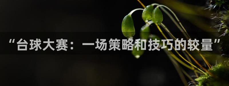 “台球大赛：一场策略和技巧的较量”