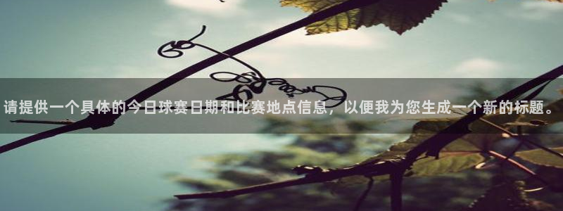 请提供一个具体的今日球赛日期和比赛地点信息，以便我为您生成一