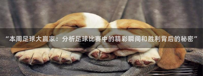 壹号餐馆怎么样