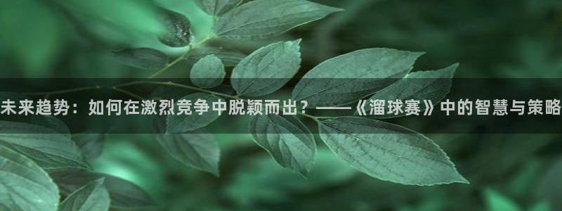 壹号首长原著小说免费阅读