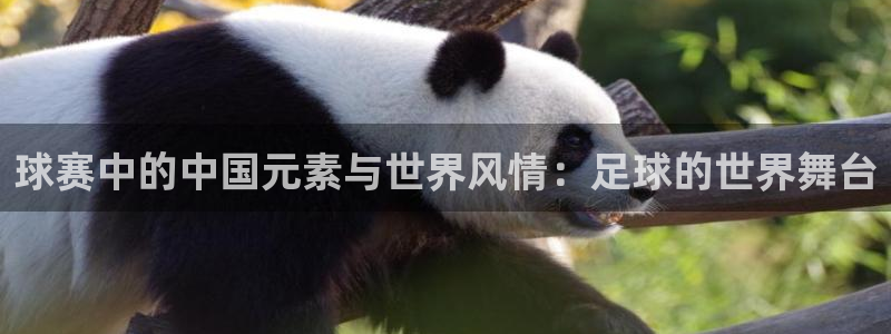 壹号图标：球赛中的中国元素与世界风情：足球的世界舞台