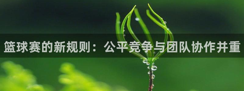 壹号电子游戏官网入口网址