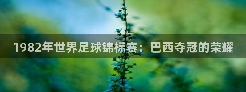 壹号平台网页版登录：1982年世界足球锦标赛：巴西夺冠的荣耀