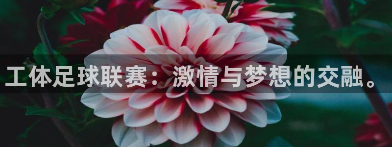壹号娱乐退款成功了吗