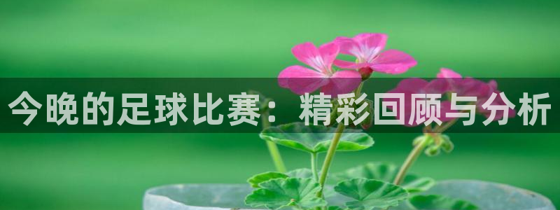 壹号娱乐卡密：今晚的足球比赛：精彩回顾与分析