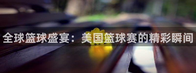 壹号俱乐部怎么样：全球篮球盛宴：美国篮球赛的精彩瞬间