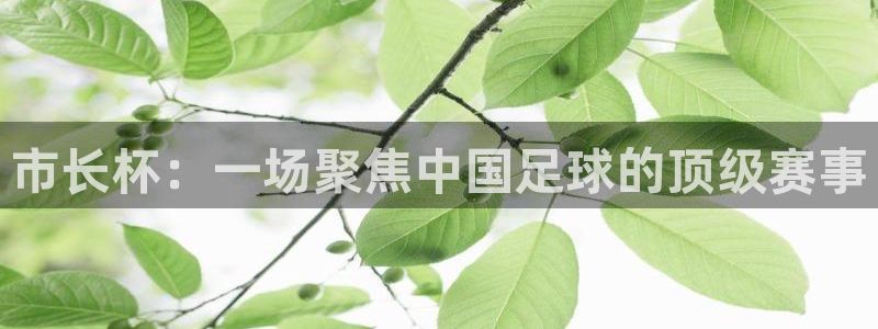 壹号娱乐退款怎么退款的