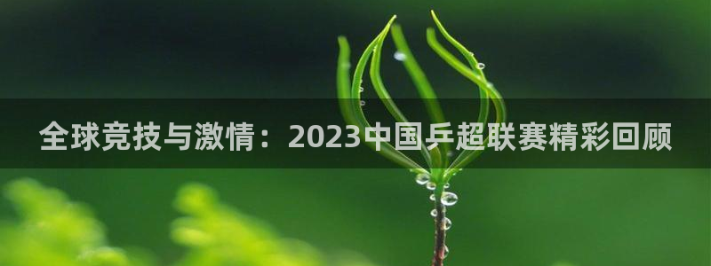 壹号新媒：全球竞技与激情：2023中国乒超联赛精彩回顾
